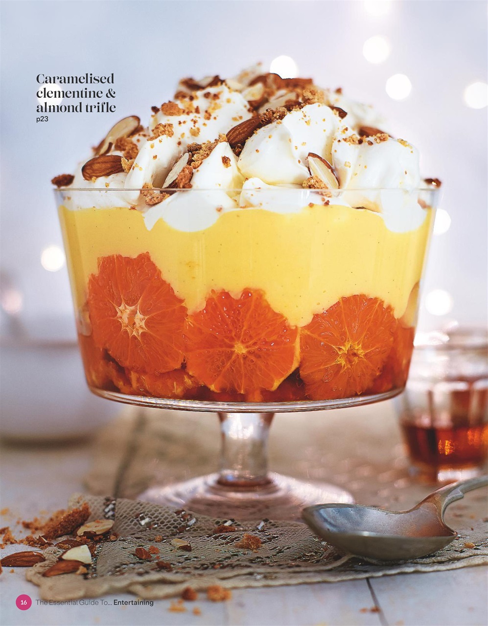 The Essential Guide To... Preview Pages