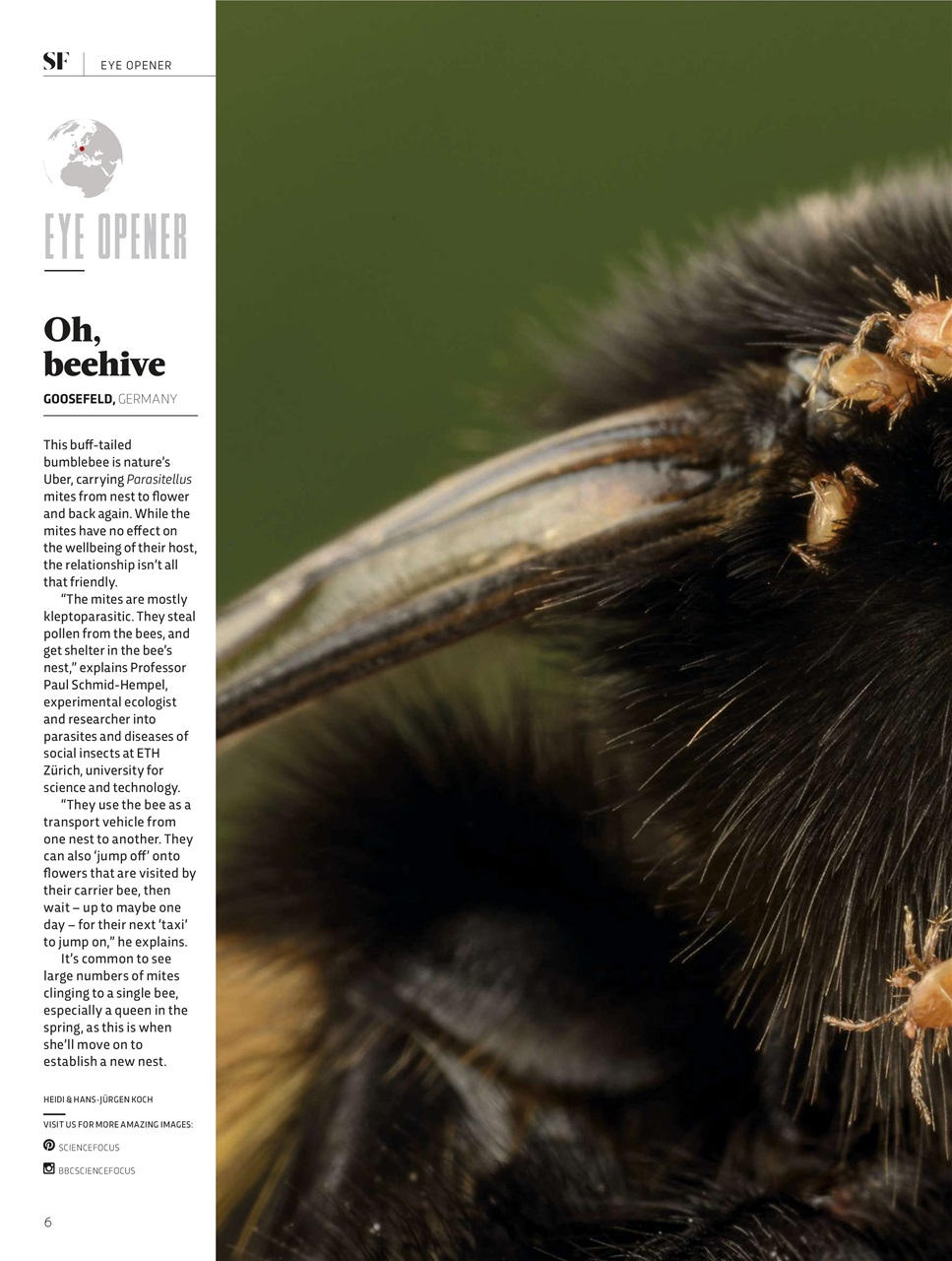 BBC Science Focus Magazine Preview Pages