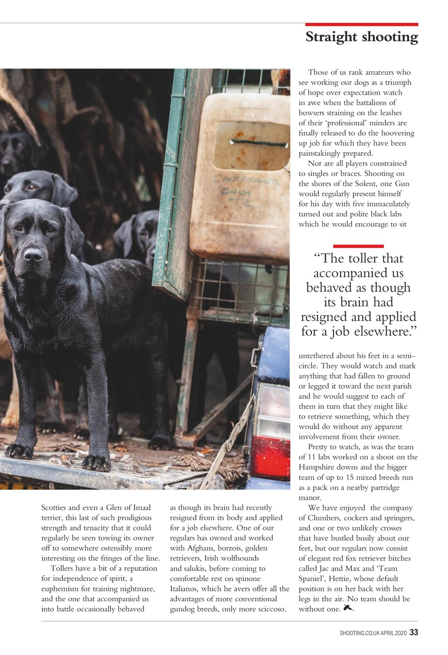 Shooting Gazette Preview Pages