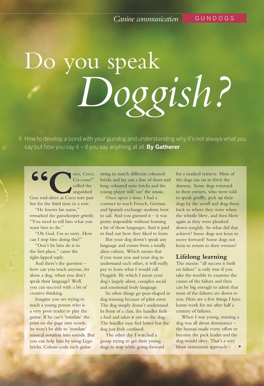 Shooting Gazette Preview Pages