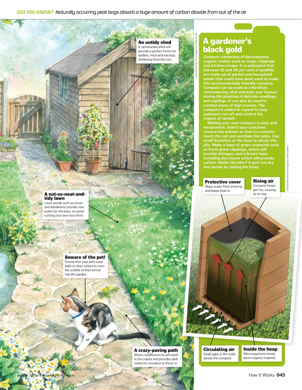 How It Works Preview Pages