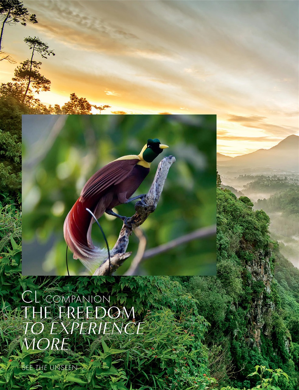 Cruise & Travel Preview Pages