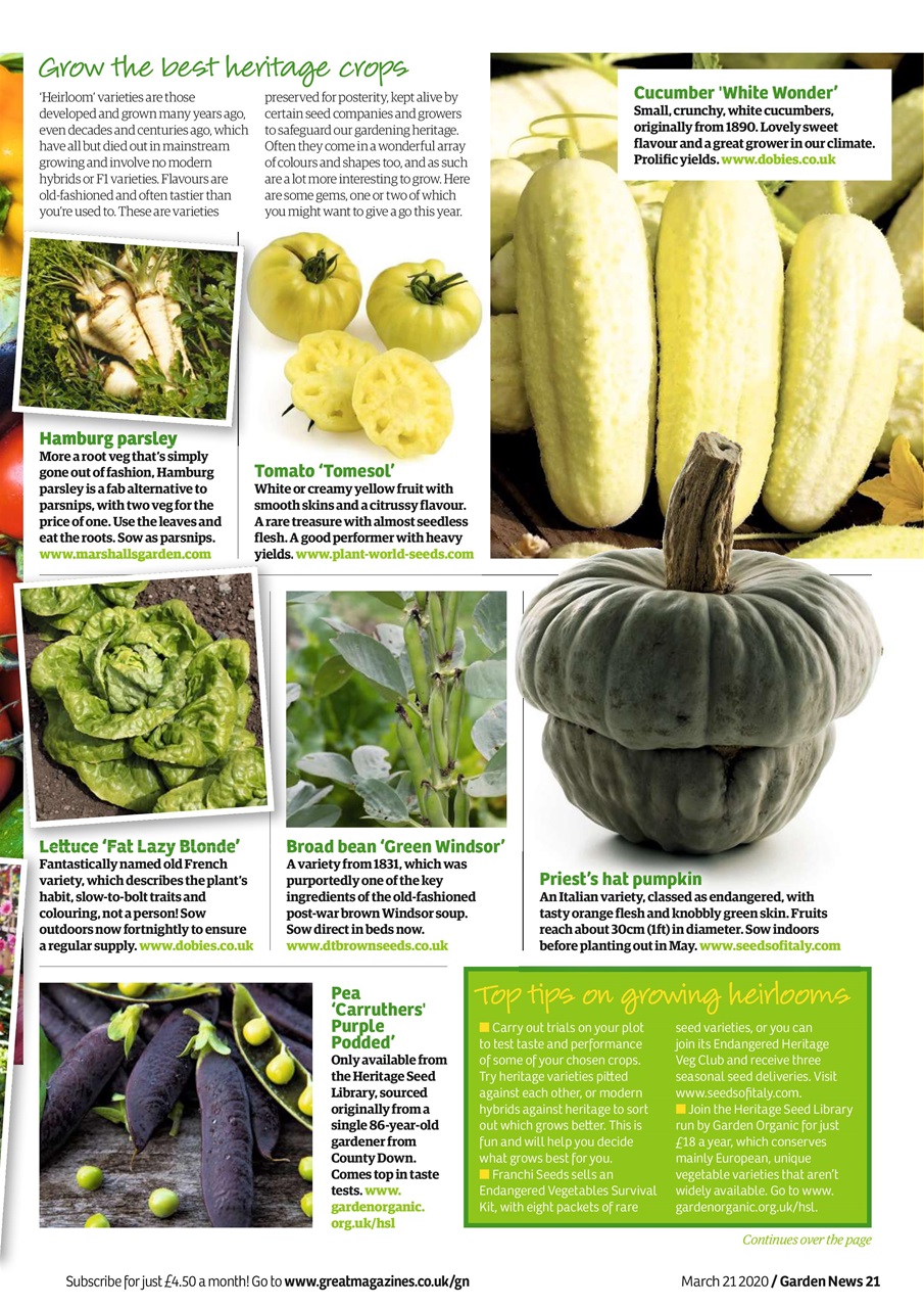 Garden News Preview Pages