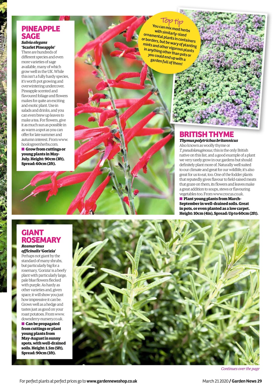 Garden News Preview Pages