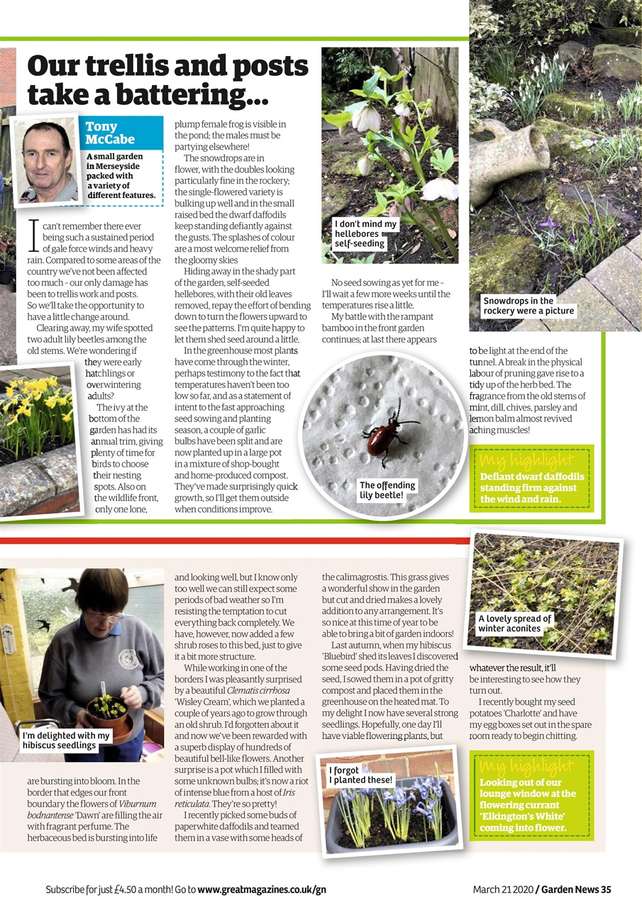 Garden News Preview Pages