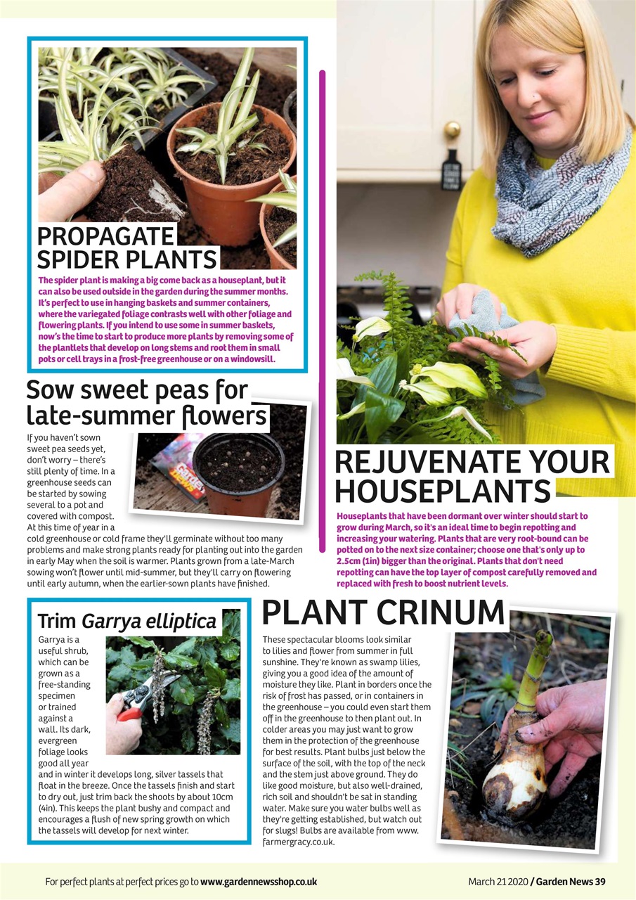 Garden News Preview Pages