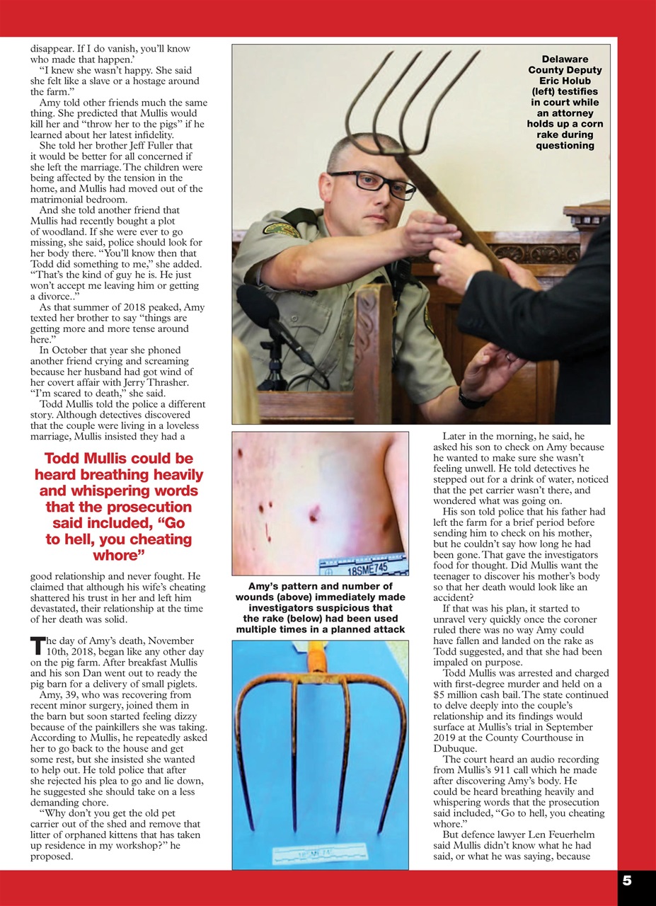 Master Detective Preview Pages