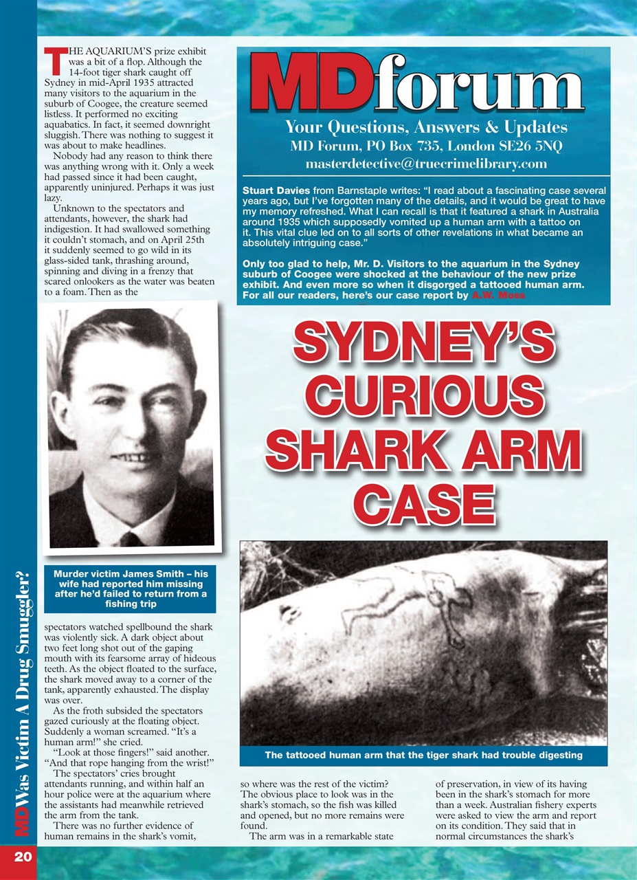 Master Detective Preview Pages