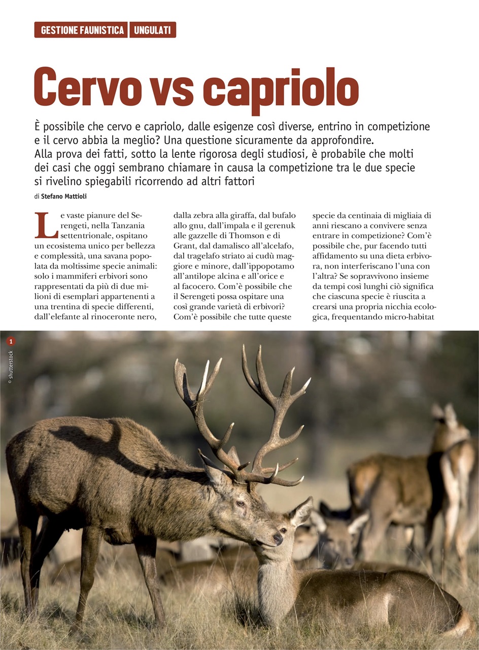 SENTIERI DI CACCIA Preview Pages