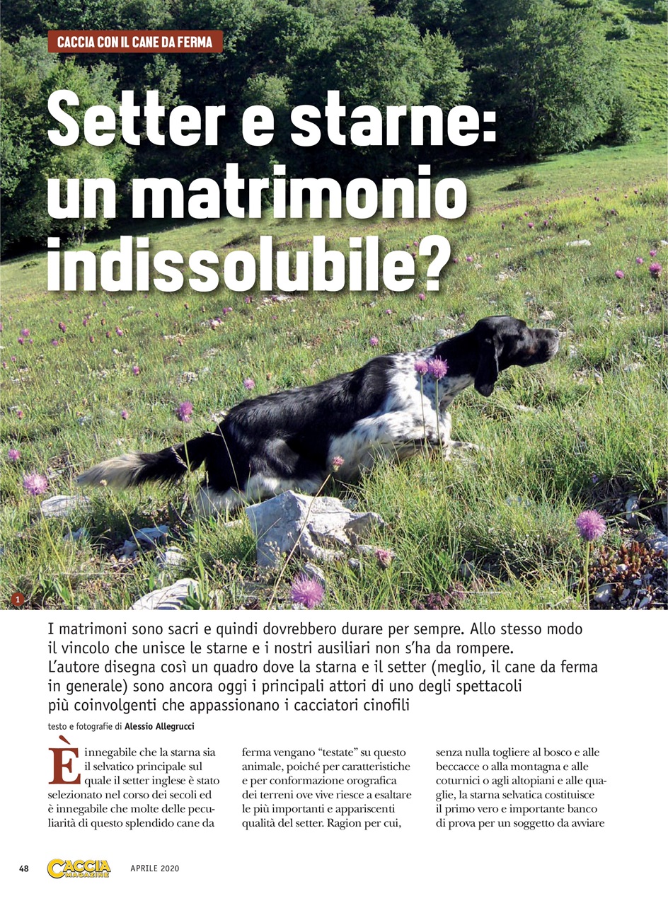 SENTIERI DI CACCIA Preview Pages