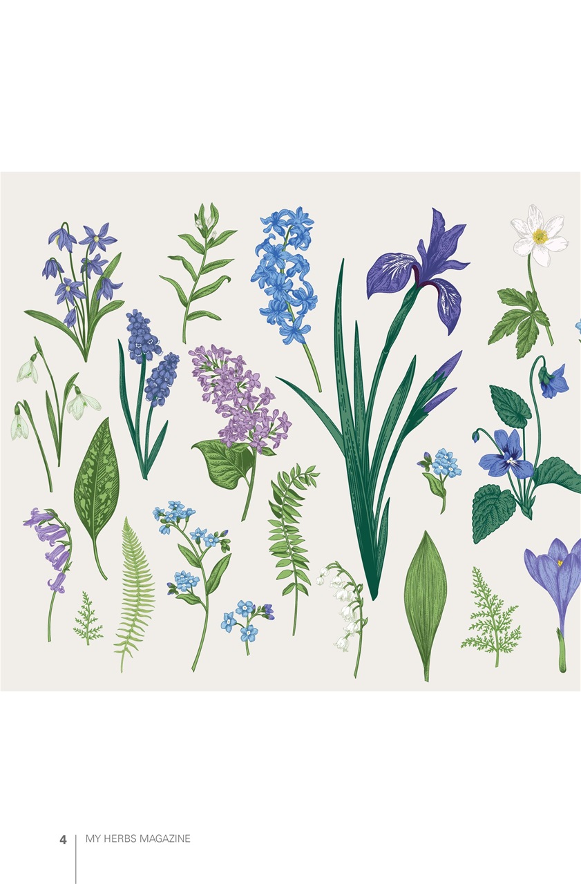 My Herbs Magazine Preview Pages