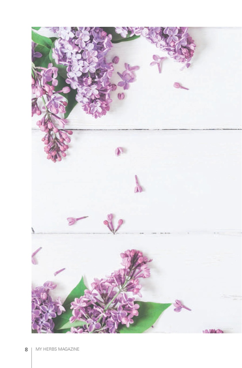 My Herbs Magazine Preview Pages