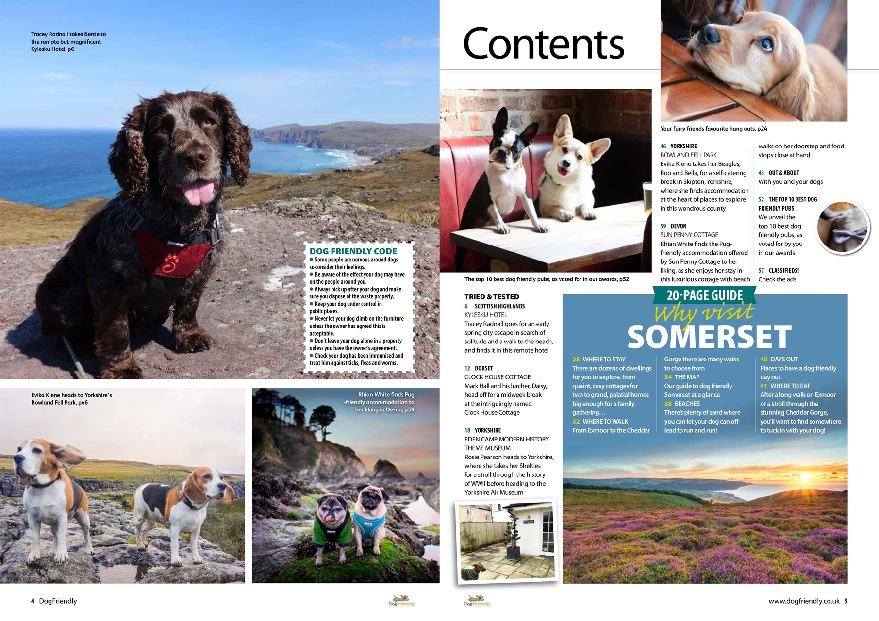 Dog Friendly Preview Pages