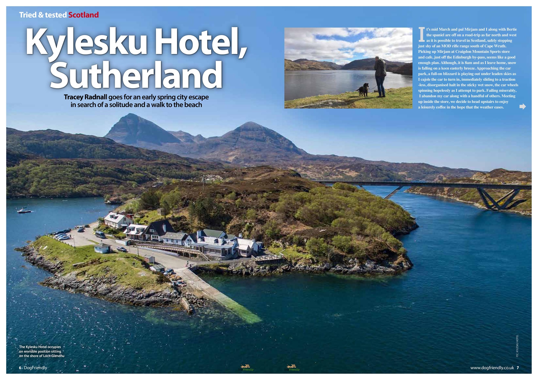 Dog Friendly Preview Pages