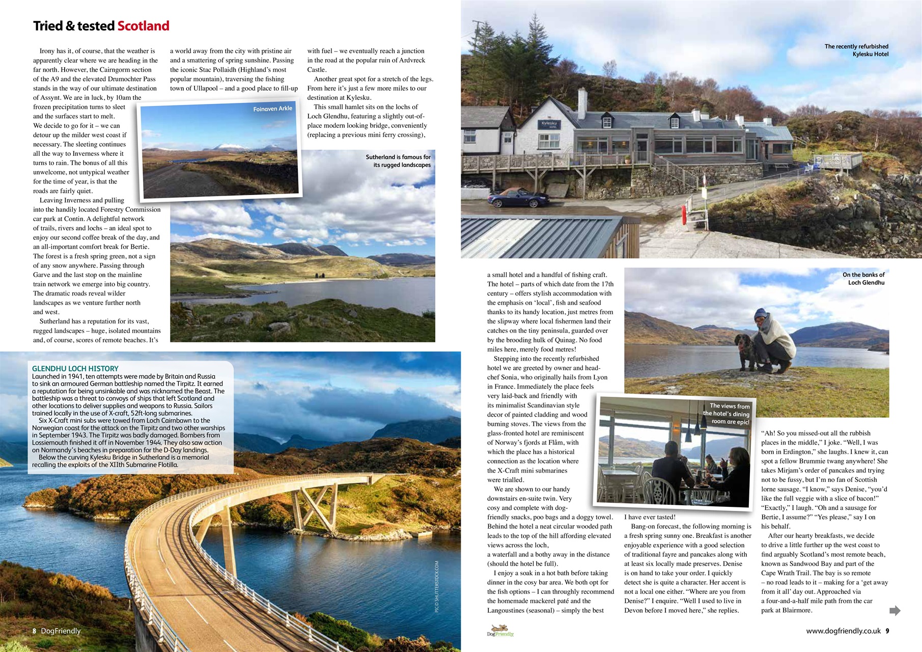 Dog Friendly Preview Pages