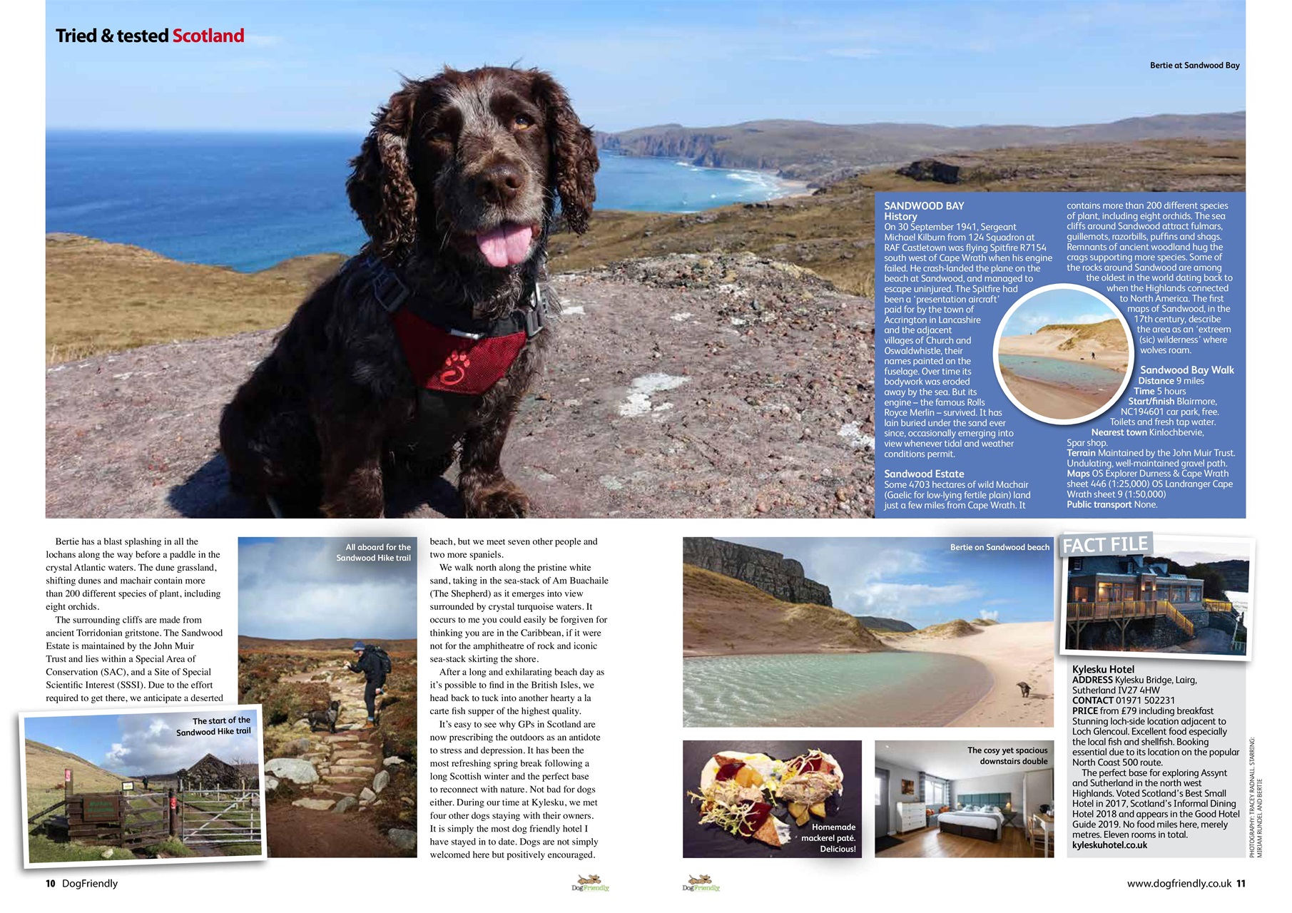 Dog Friendly Preview Pages