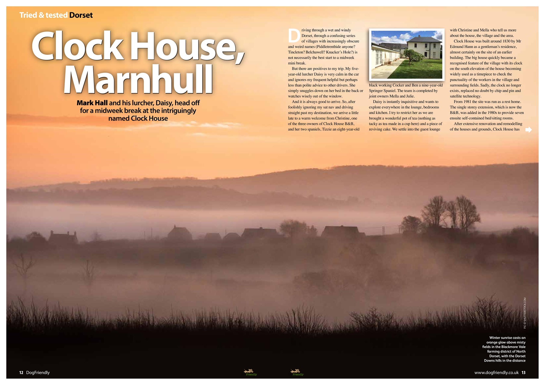 Dog Friendly Preview Pages