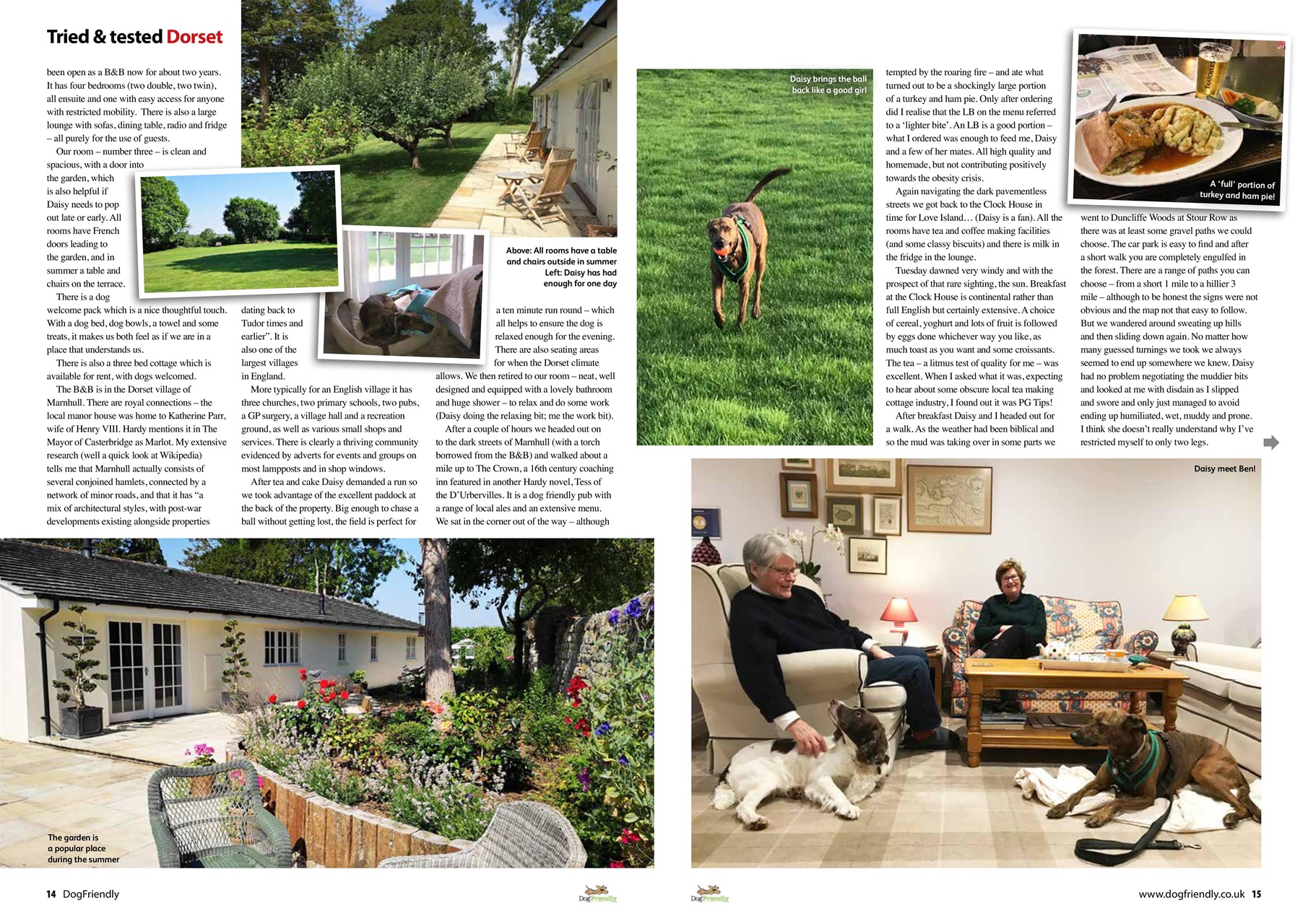 Dog Friendly Preview Pages