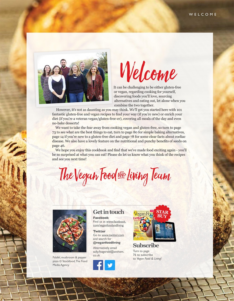 Vegan Cookbook Preview Pages