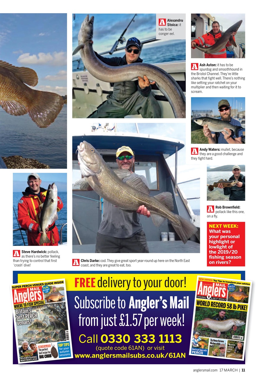 Anglers Mail Preview Pages