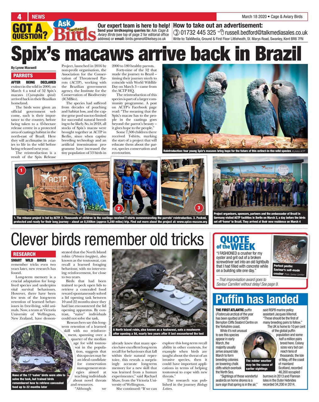 Cage & Aviary Birds Preview Pages
