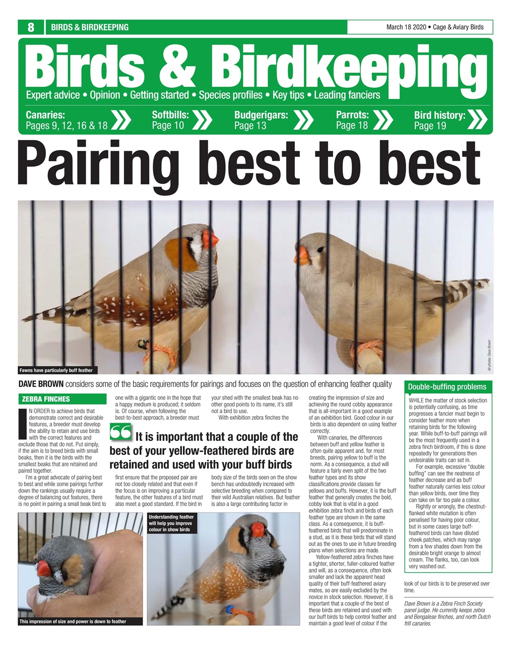 Cage & Aviary Birds Preview Pages
