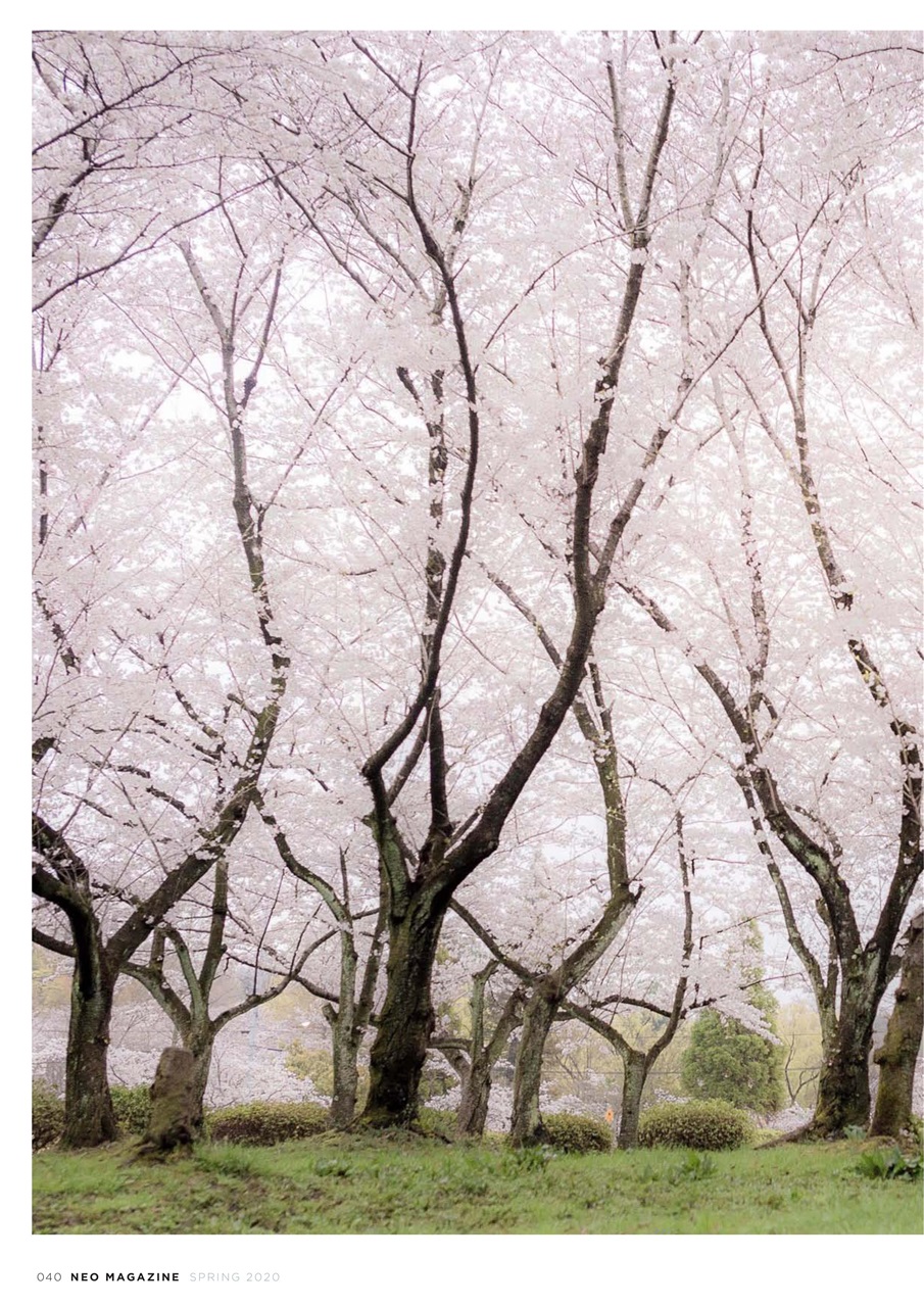 NEO Magazine Preview Pages