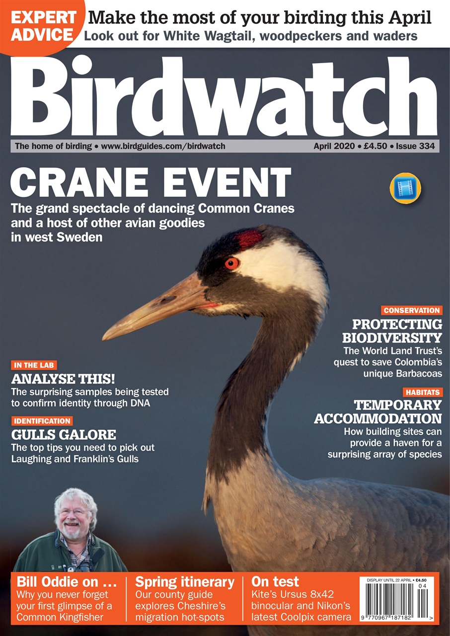Birdwatch Magazine Preview Pages