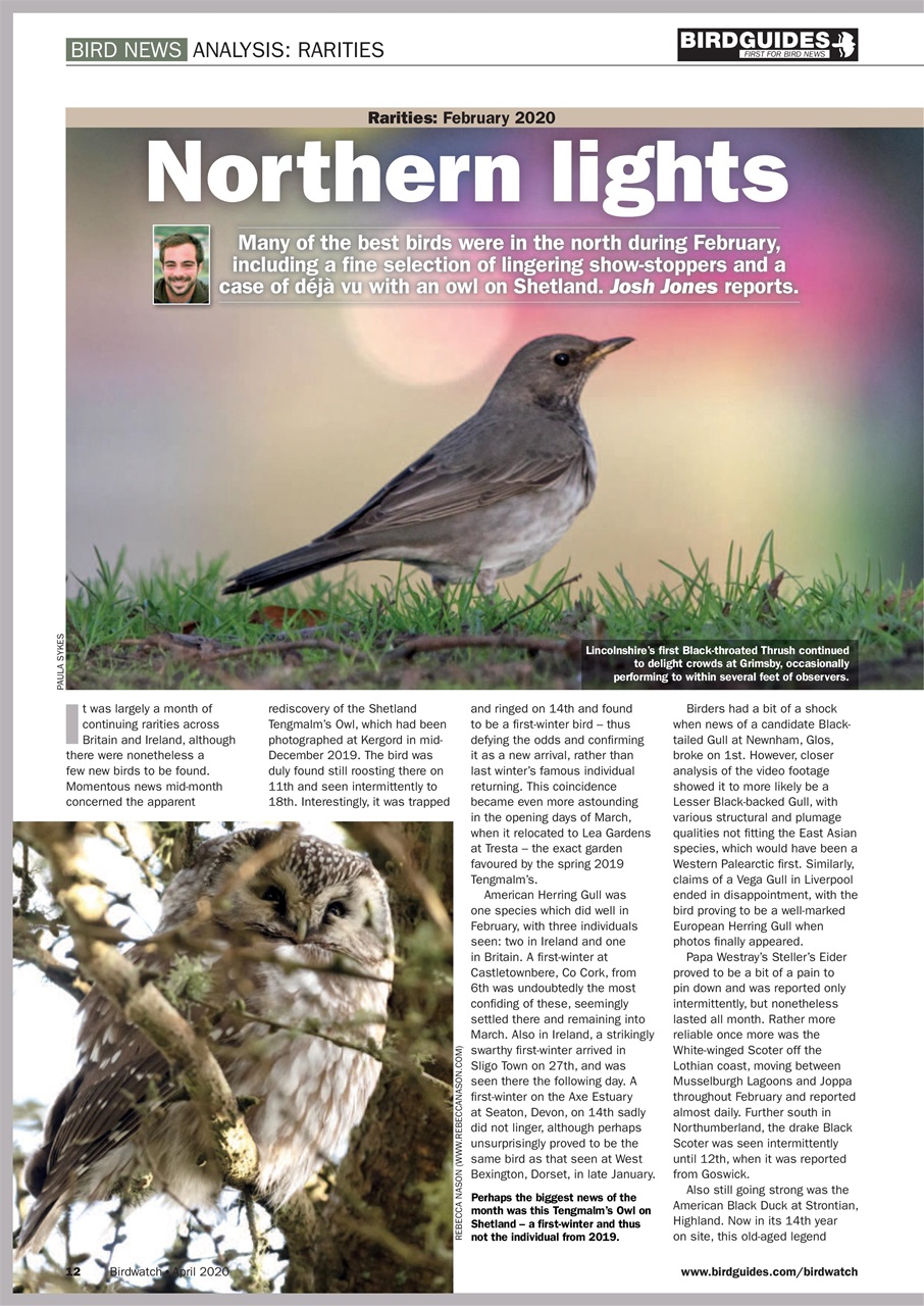 Birdwatch Magazine Preview Pages