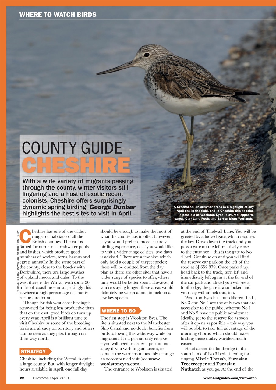 Birdwatch Magazine Preview Pages
