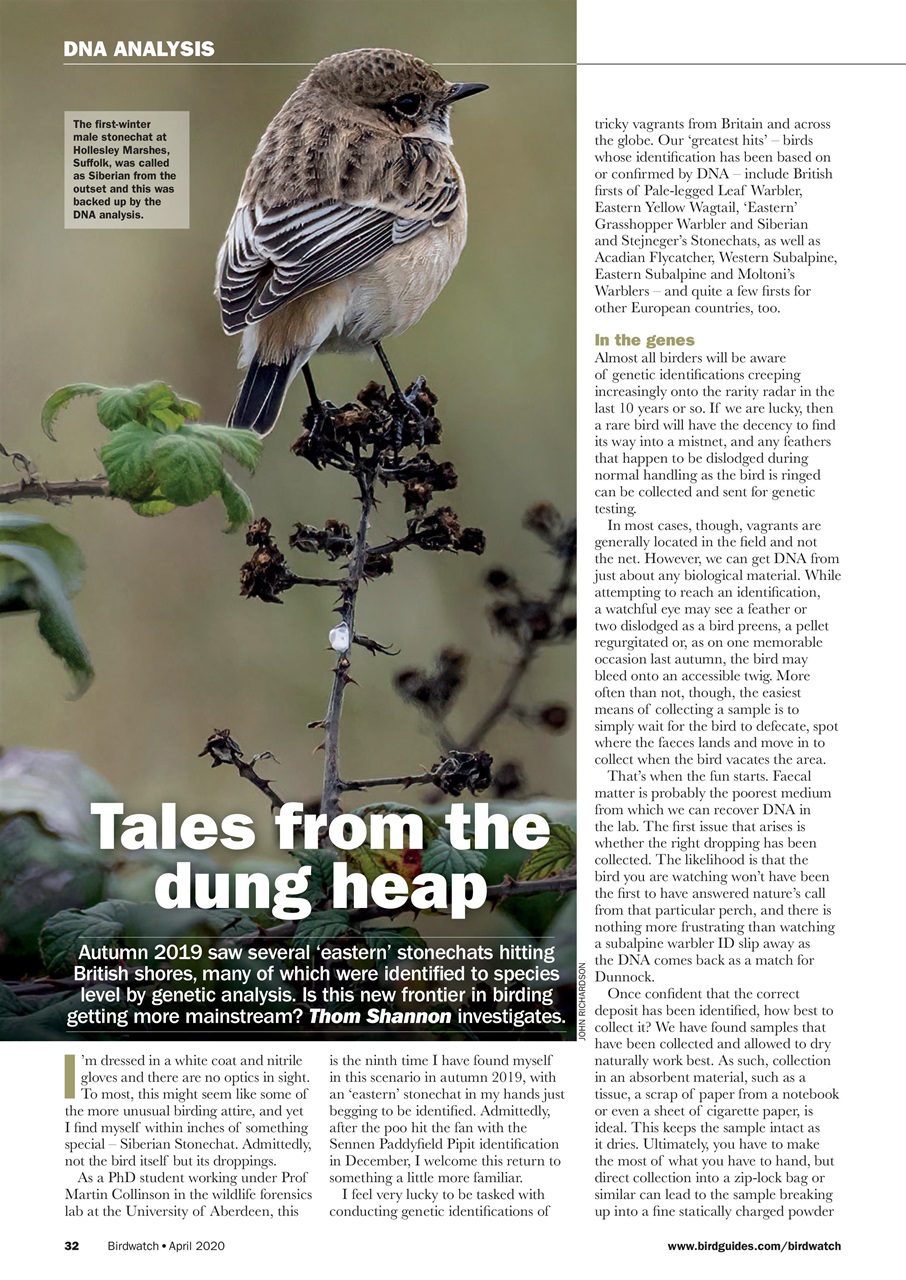 Birdwatch Magazine Preview Pages
