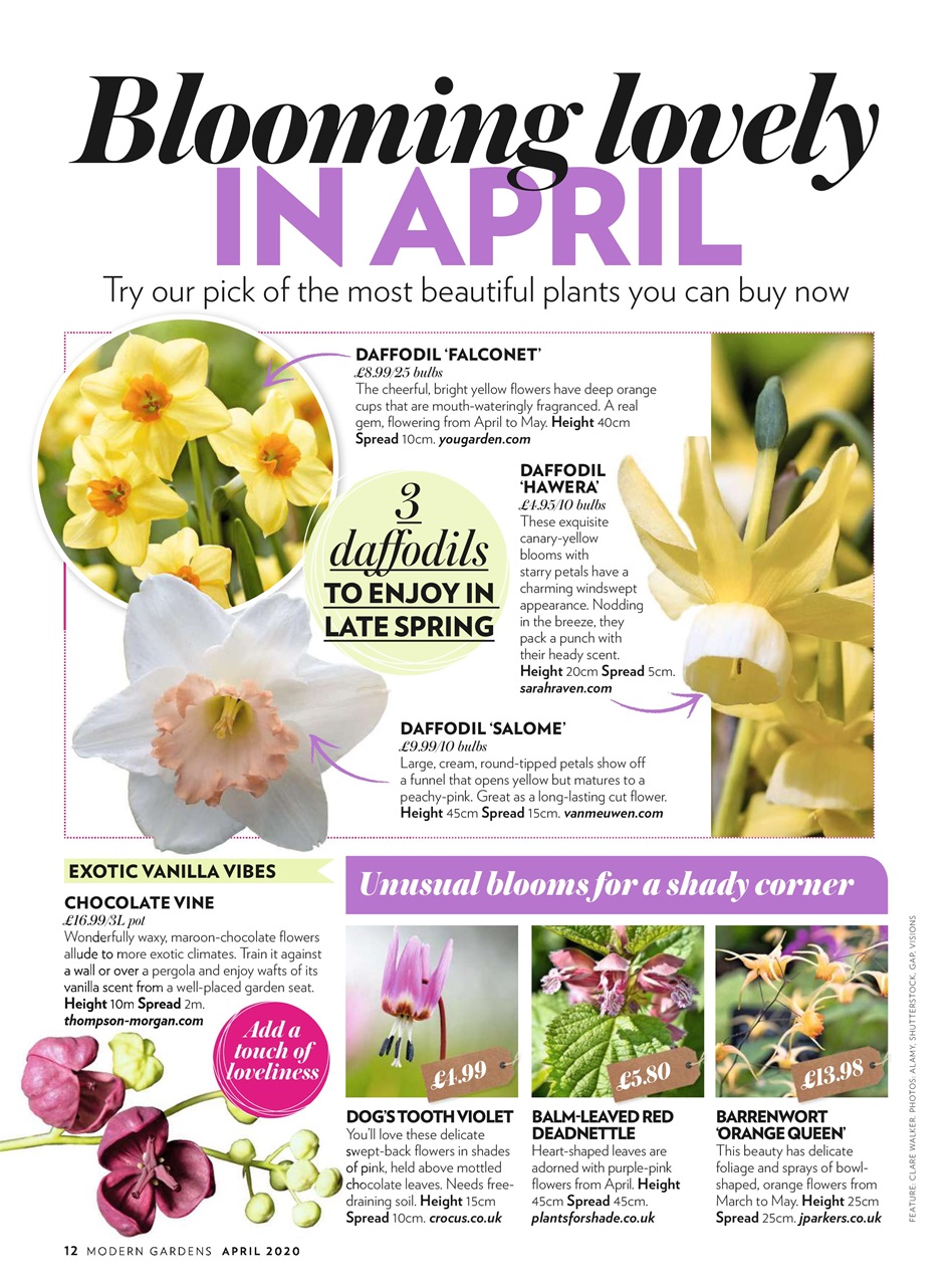 Modern Gardens Preview Pages