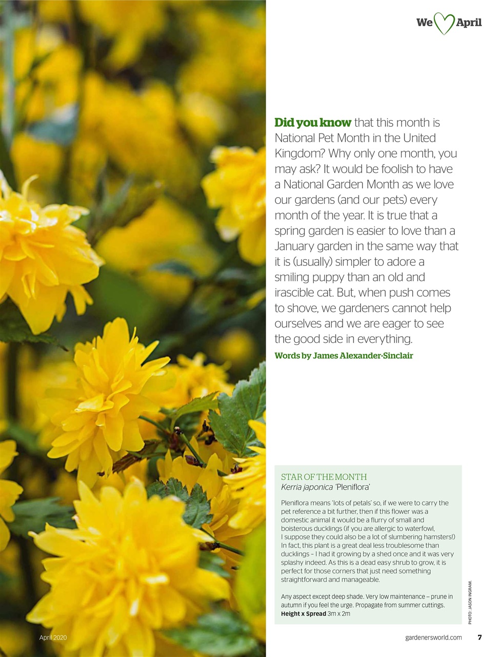 BBC Gardeners’ World Magazine Preview Pages