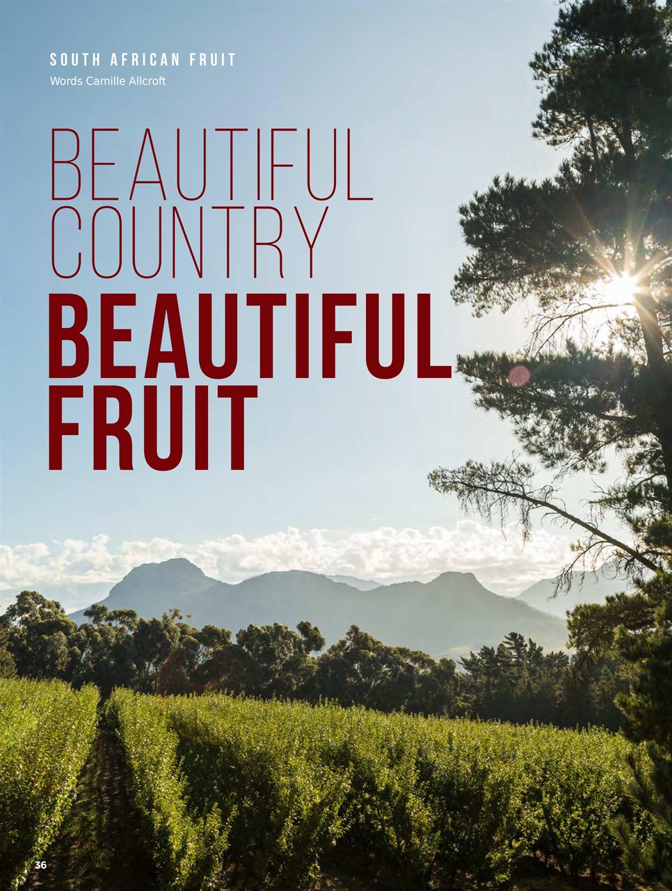 Chef & Restaurant Magazine Preview Pages