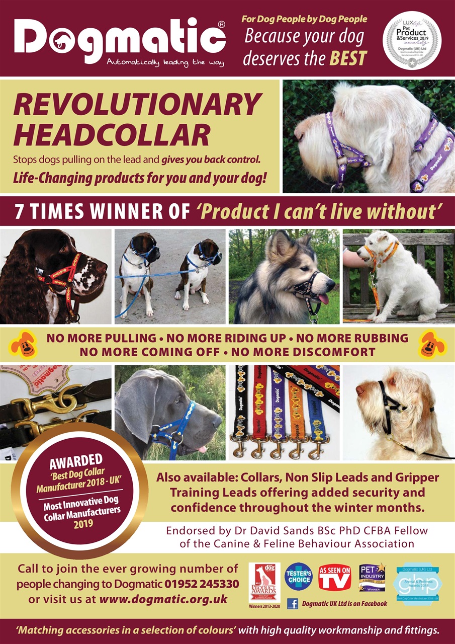 Camping Preview Pages