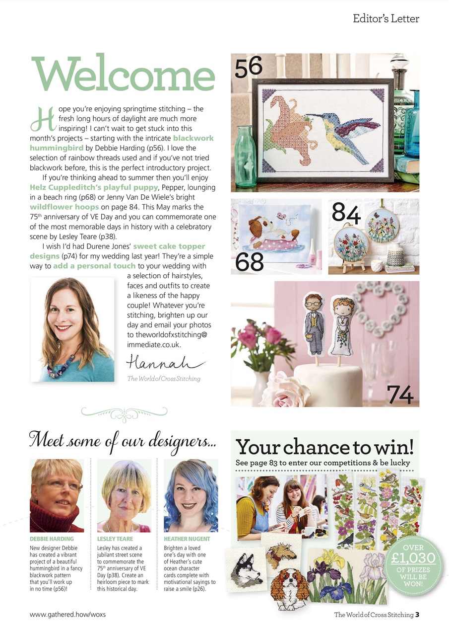 The World of Cross Stitching Preview Pages