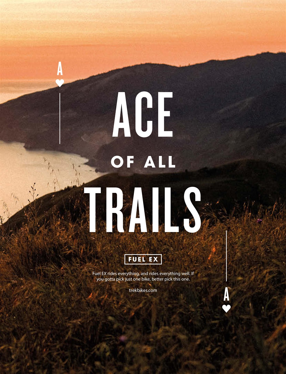 Singletrack Preview Pages