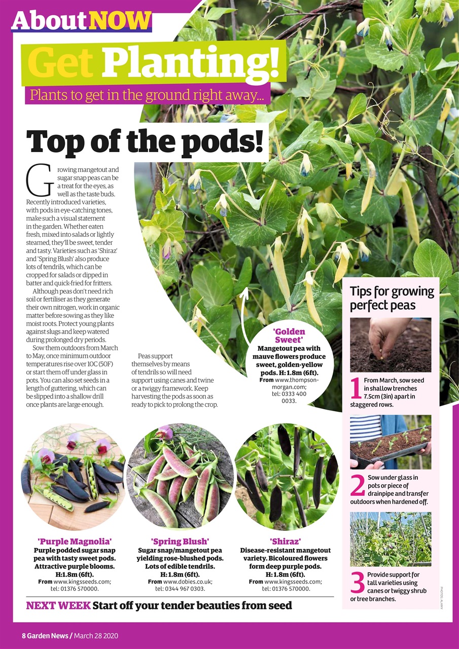 Garden News Preview Pages