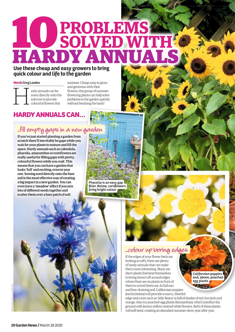 Garden News Preview Pages