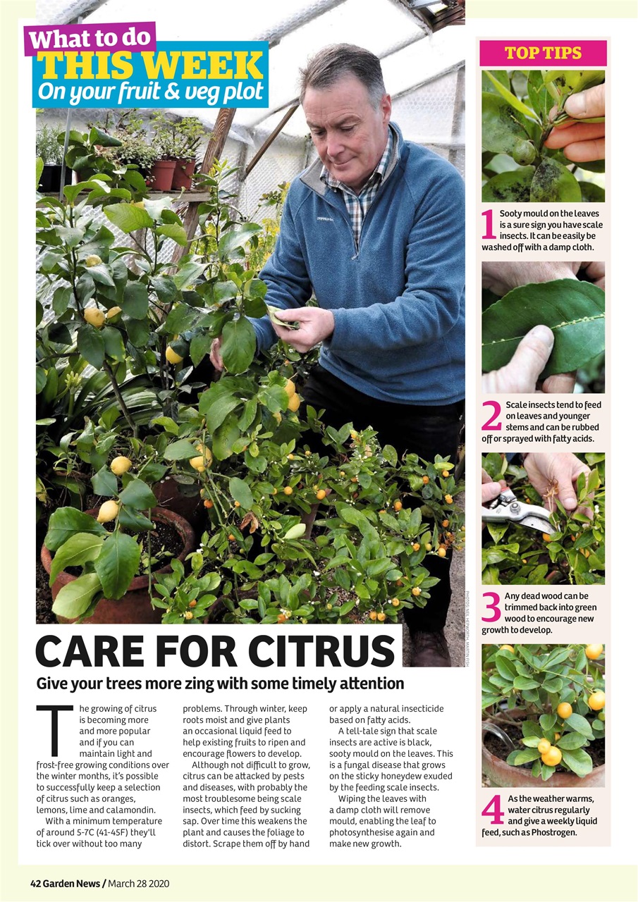 Garden News Preview Pages