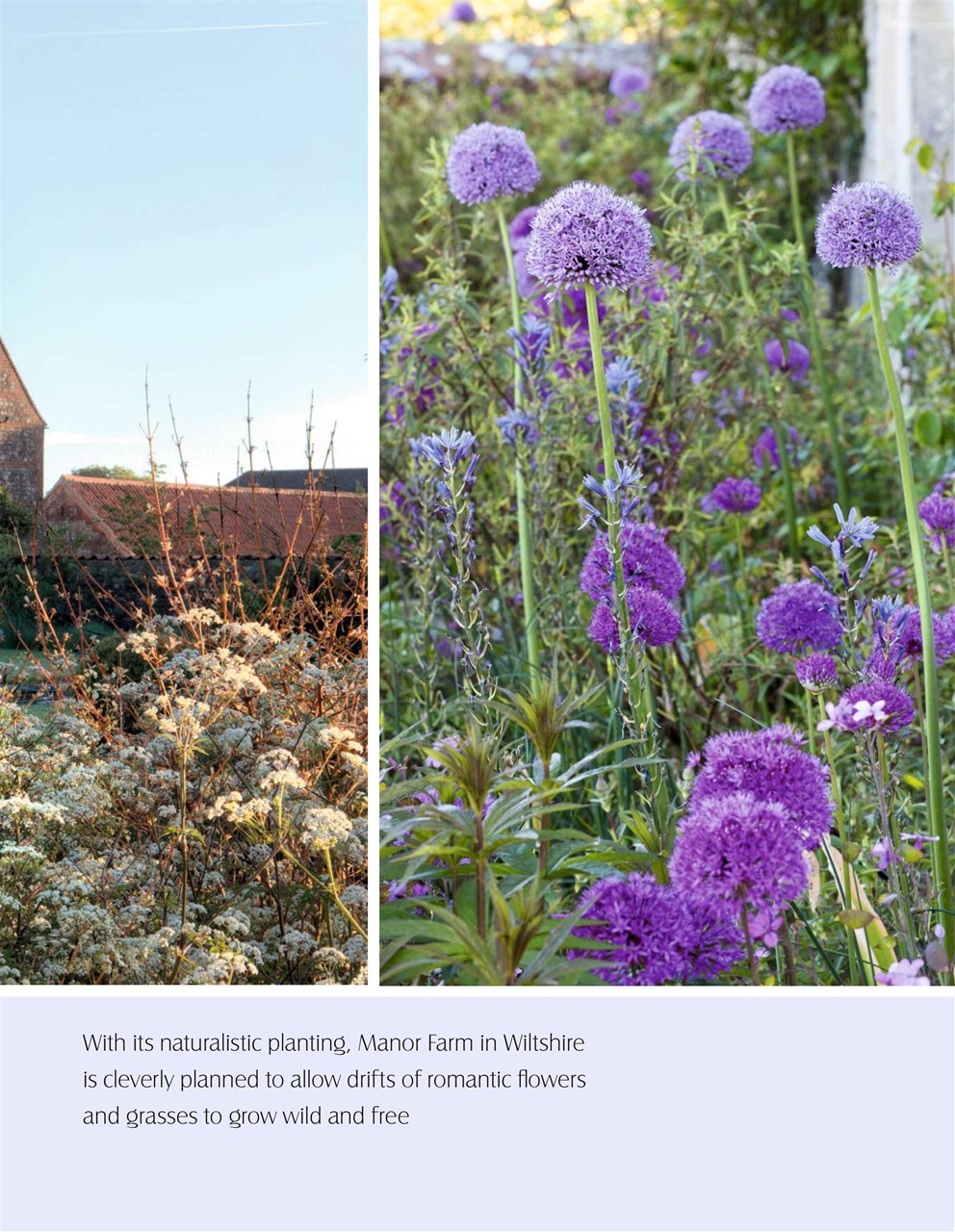 LandScape Preview Pages