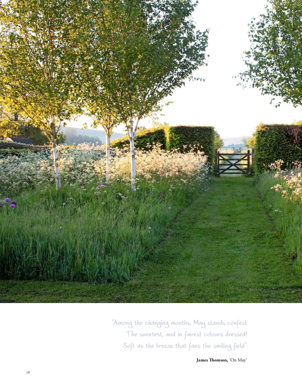 LandScape Preview Pages