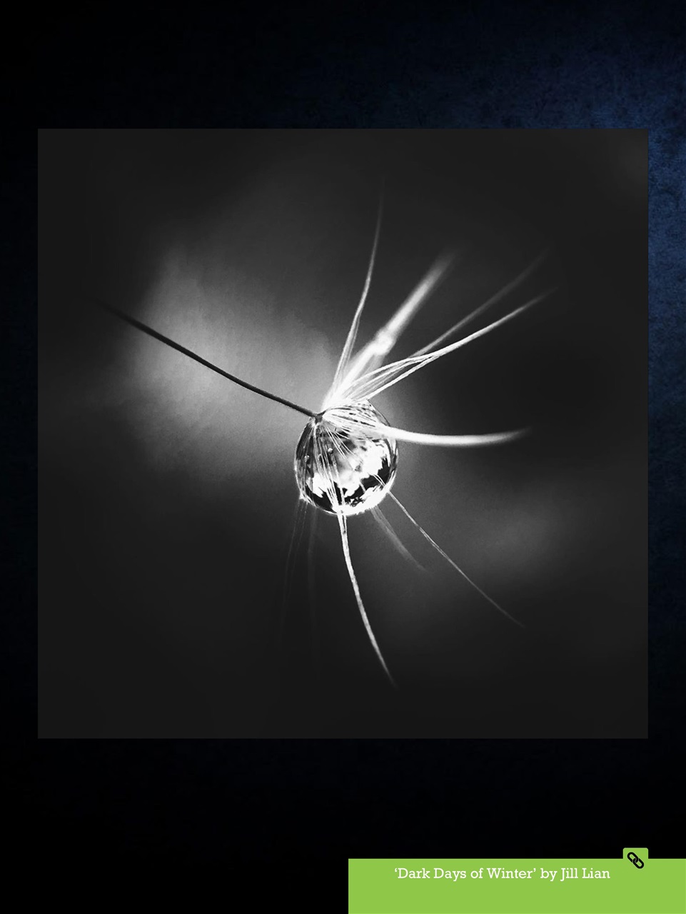 Mobiography Preview Pages