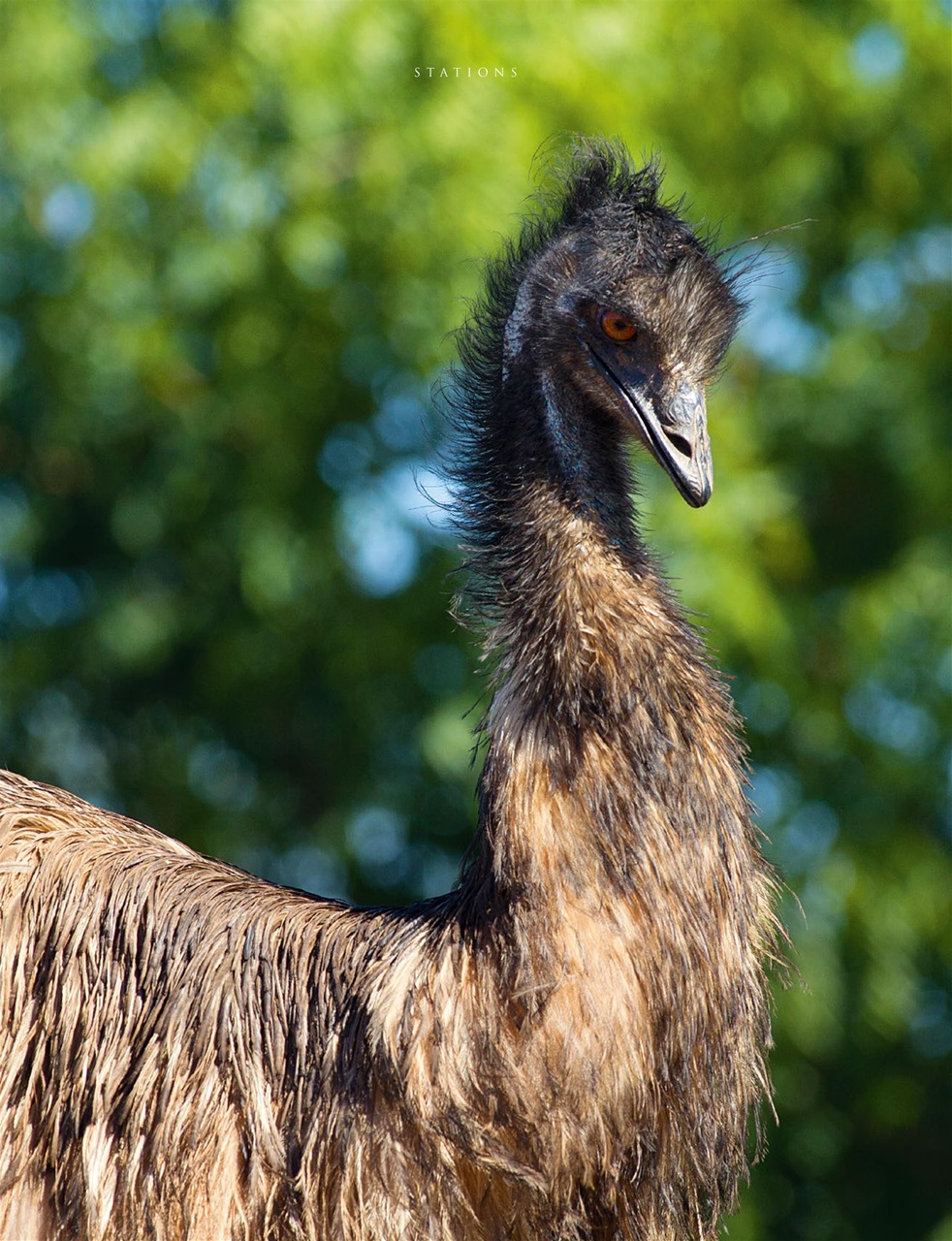 OUTBACK Magazine Preview Pages