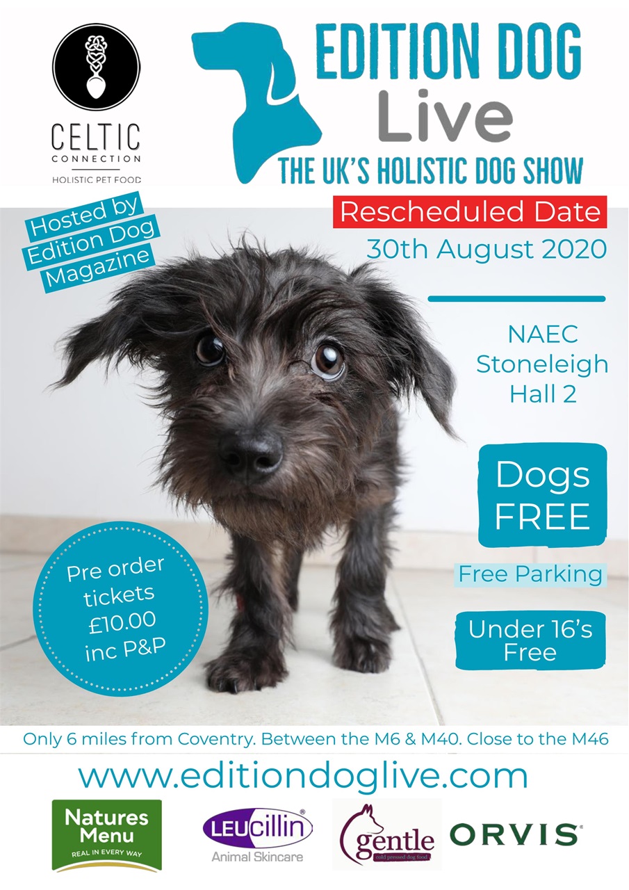 Edition Dog Preview Pages