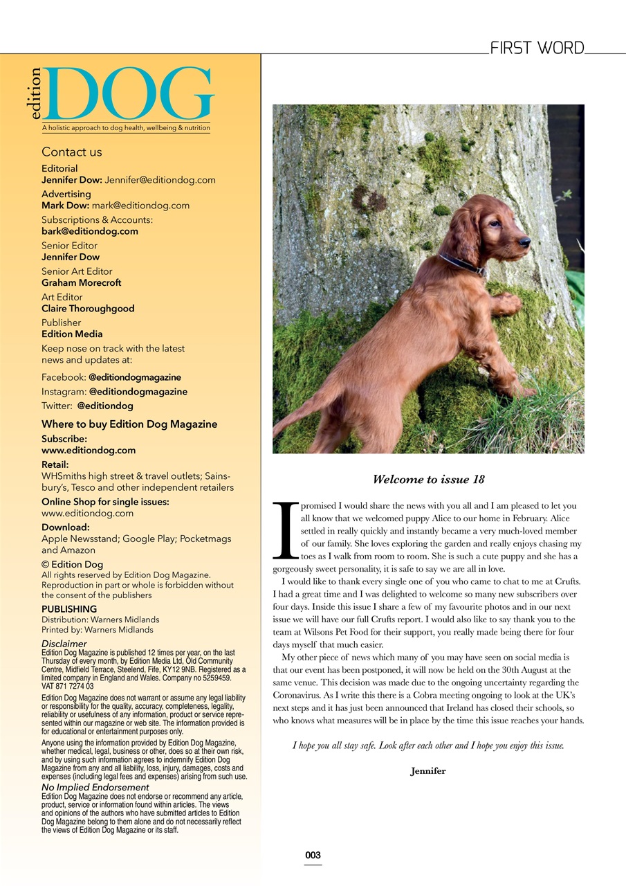 Edition Dog Preview Pages