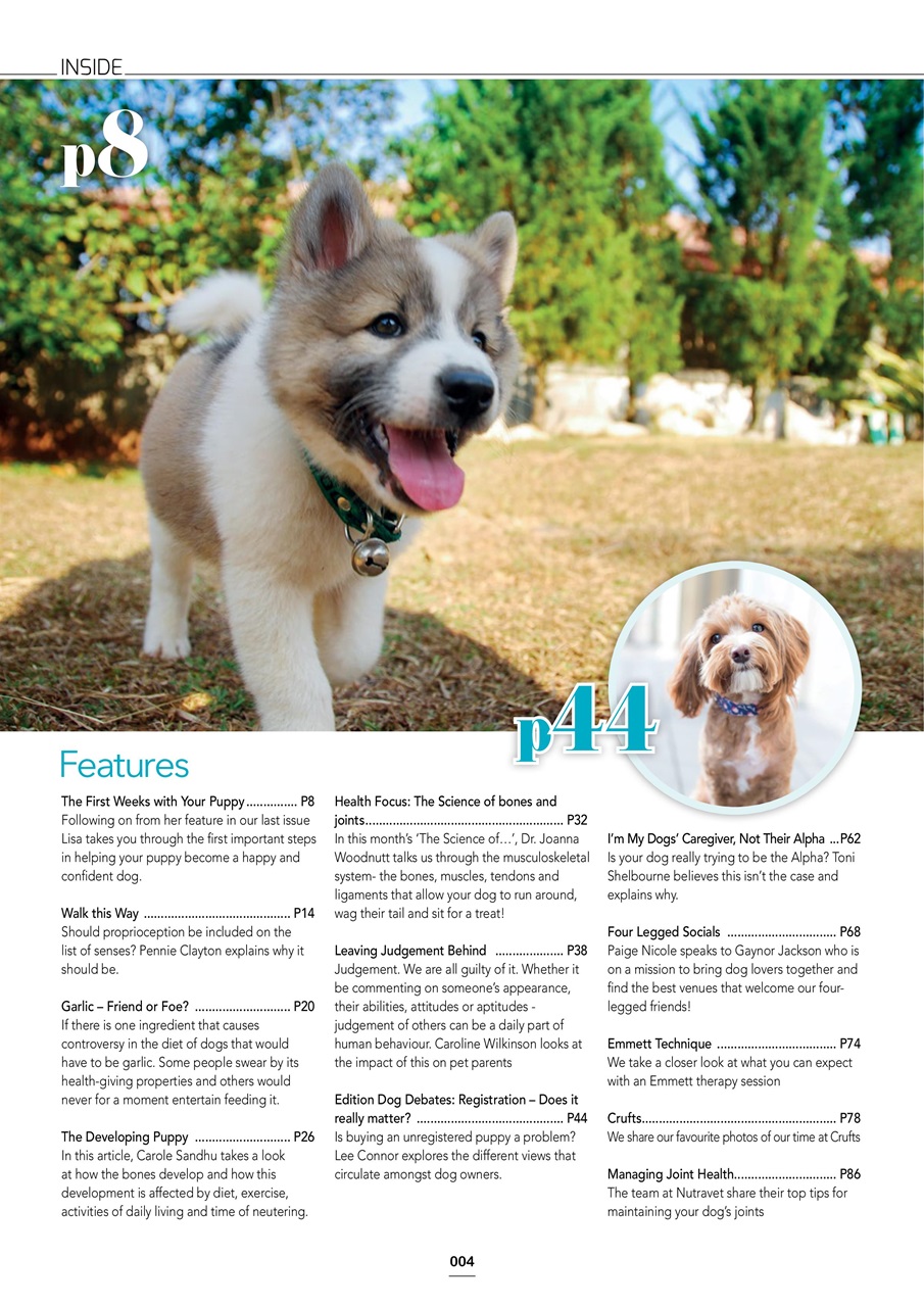 Edition Dog Preview Pages