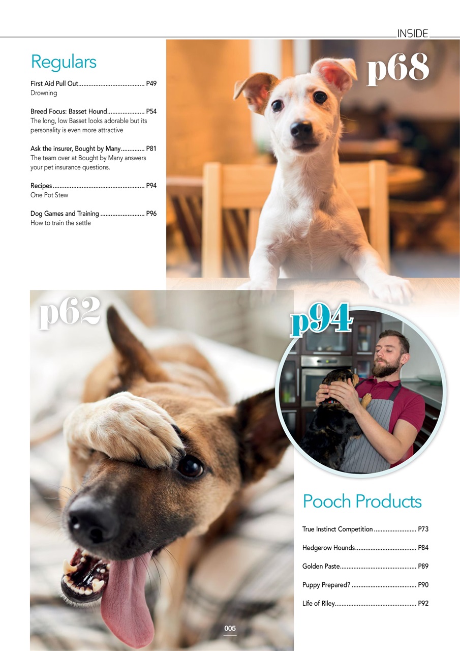 Edition Dog Preview Pages