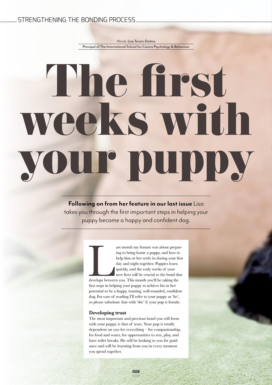 Edition Dog Preview Pages