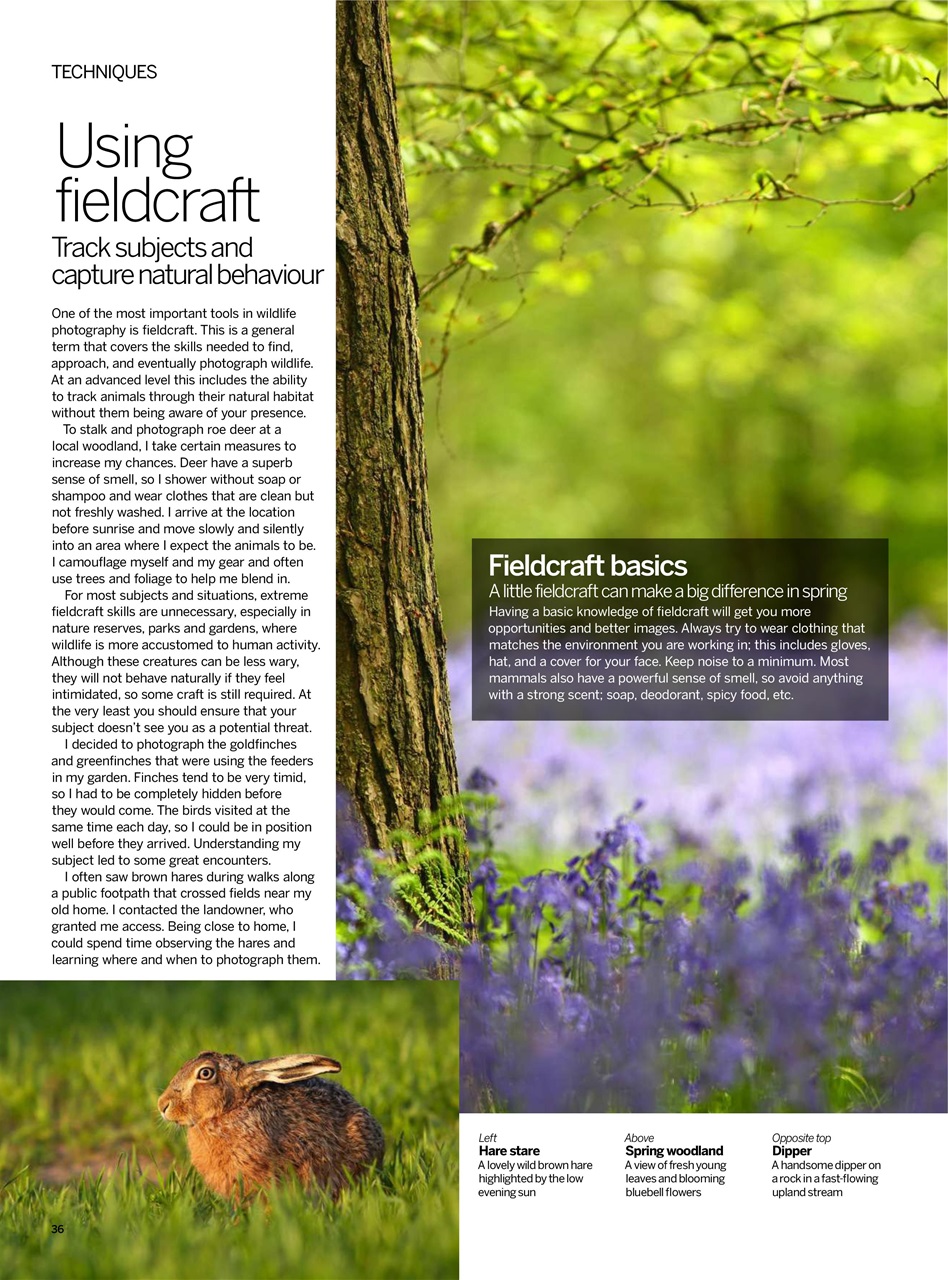 Digital Photographer Preview Pages